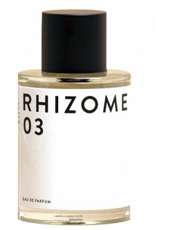 rhizome 03
