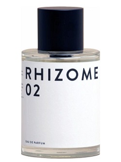 rhizome 02